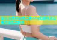 糖心深夜释放自己美vlog旧版高清记录真实生活瞬间