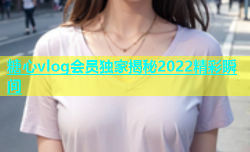 糖心vlog会员独家揭秘2022精彩瞬间