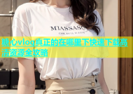 糖心vlog真正的在哪里下快速下载高清资源全攻略