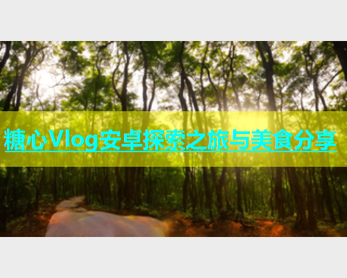 糖心Vlog安卓探索之旅与美食分享  第2张